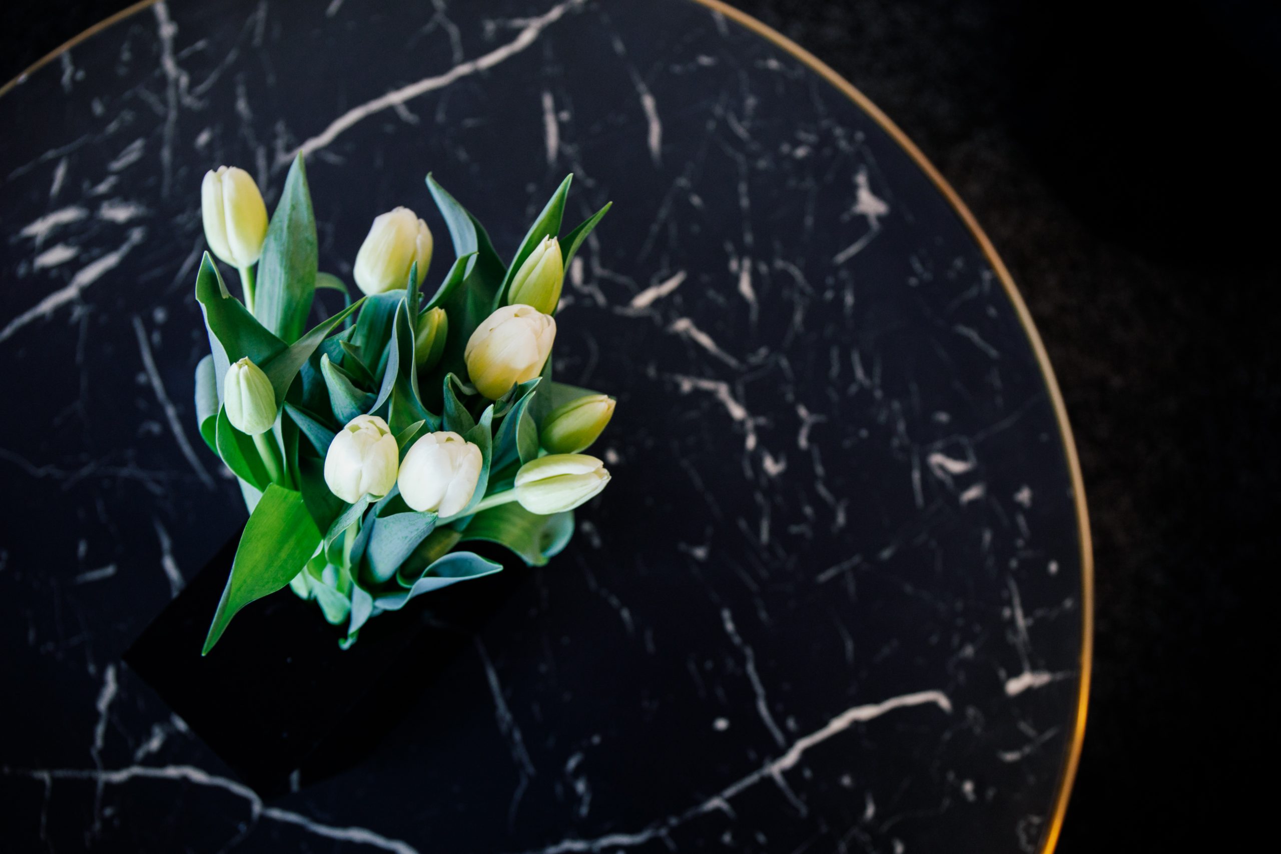Tulips on Coffee Table
