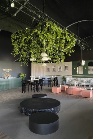 Ceiling Installations - POA