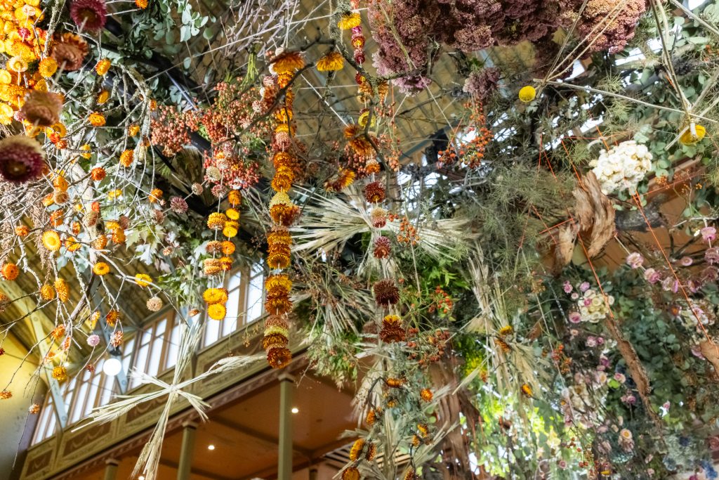 Autumn – Cascading Beauty