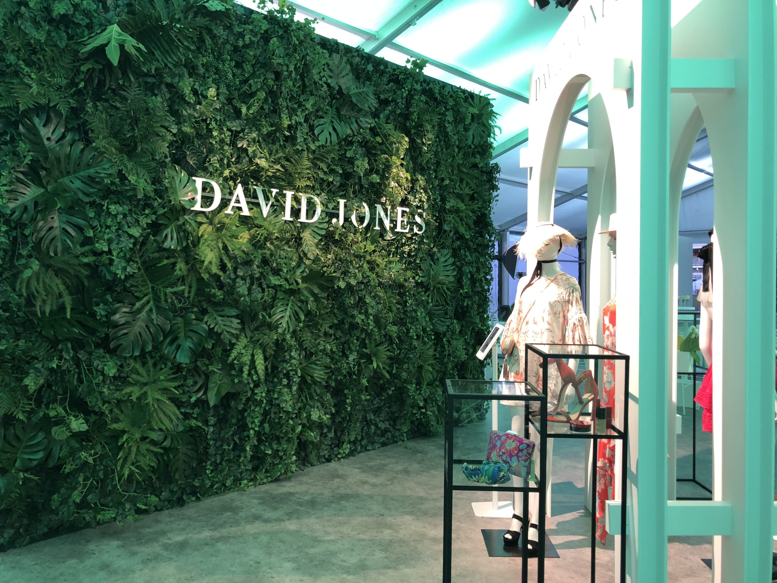 David Jones David Jones